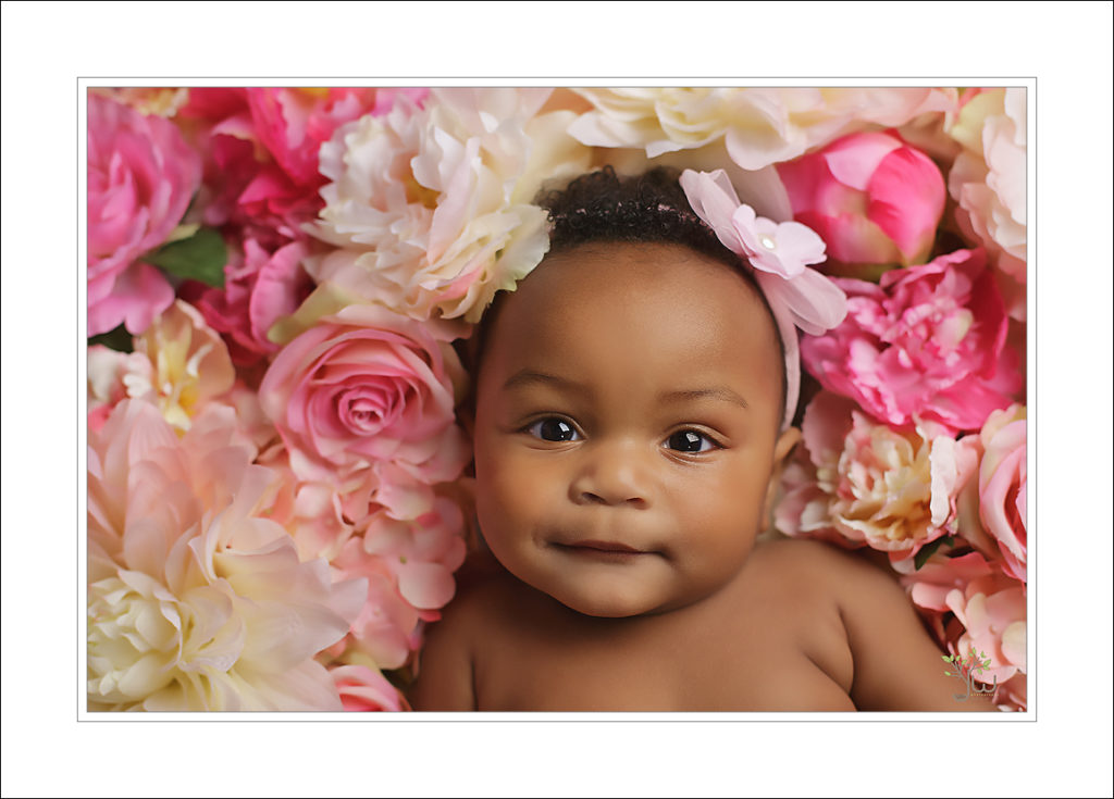 Best Auburn baby photographer